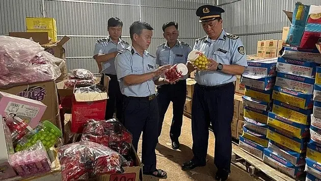 Hơn 3.160 tỷ đồng thực phẩm nhập lậu bị xử lý