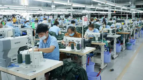 Vinatex không chia cổ tức năm 2024
