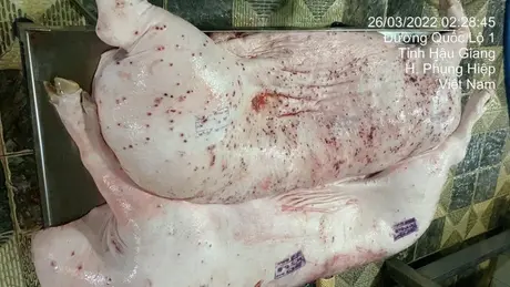 Cần làm rõ thông tin C.P. Việt Nam bán thịt bẩn