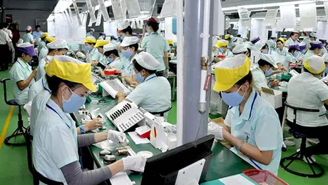 Tập trung bảo vệ tốt nhất quyền lợi của người lao động