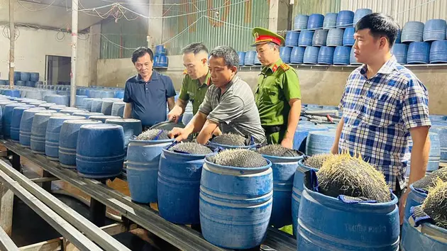 Khởi tố ba bị can sản xuất giá đỗ bằng hóa chất độc hại