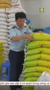 Phát hiện hàng loạt gạo ST25 giả tại Hà Nội