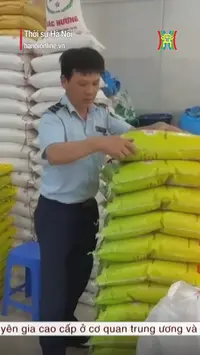 Phát hiện hàng loạt gạo ST25 giả tại Hà Nội