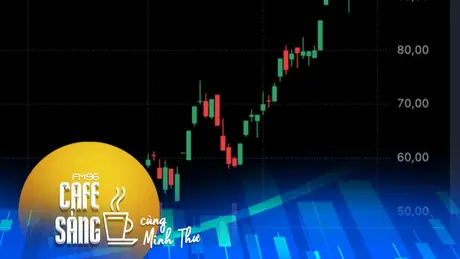 Cổ phiếu Vingroup và chuyện góp vốn Vinspeed