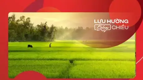 Thoang thoảng hương quê