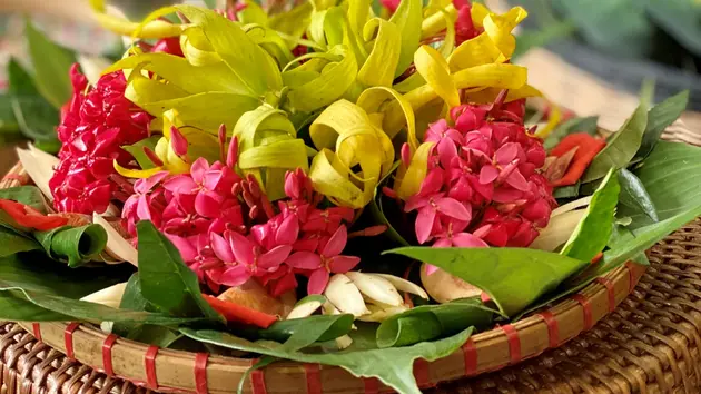 Hoa gói, hoa đĩa gợi nhớ Hà Nội xưa