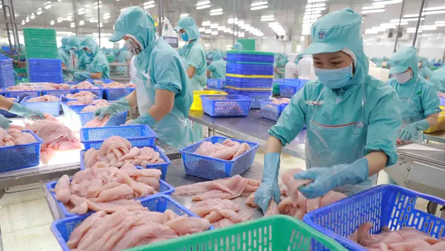 Xuất khẩu cá tra Việt Nam tìm thị trường ngách