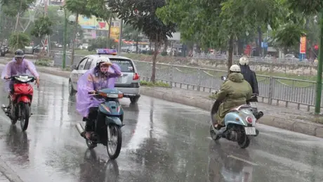 Thời tiết 3/6: Hà Nội mưa rào và dông, nhiệt độ giảm