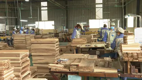 Dịch chuyển xuất khẩu để ứng phó thuế đối ứng của Mỹ