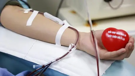 Một thập kỷ kết nối dòng máu Việt