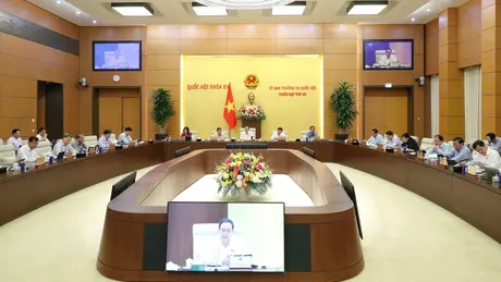 Ngăn ngừa hành vi người nổi tiếng quảng cáo sai sự thật
