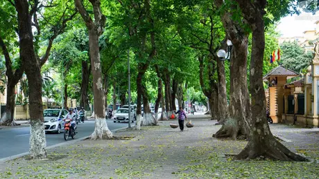 Thời tiết 5/6: Hà Nội ngày nắng, tối có mưa vài nơi