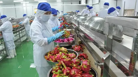 Việt - Mỹ ký kết thỏa thuận nông sản 1,4 tỷ USD