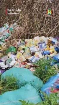 TP.HCM: Hàng nghìn hộp thực phẩm chức năng đổ bỏ bên đường