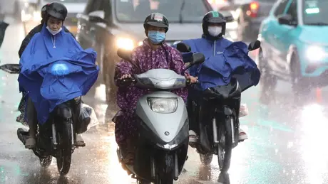 Thời tiết 8/6: Hà Nội ngày nắng nóng, đêm có mưa dông