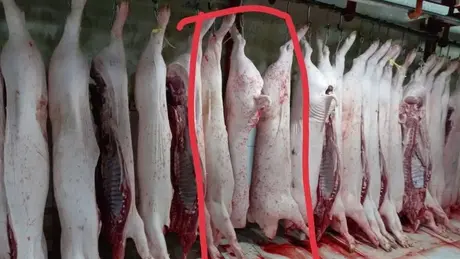 Bộ Công an vào cuộc 'vụ Công ty C.P. Việt Nam'