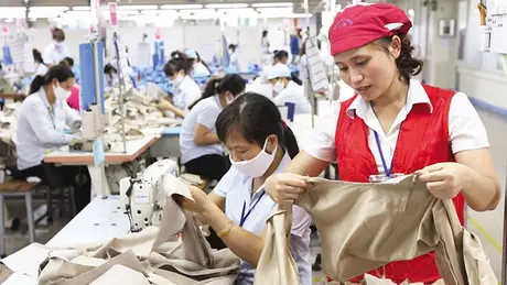 Giảm thiểu rủi ro cho hộ kinh doanh lên doanh nghiệp