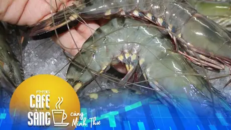 Mức thuế 'siêu thực' với tôm Việt Nam