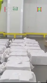Costa Rica bắt hơn 3,4 tấn cocaine ngụy trang trong container