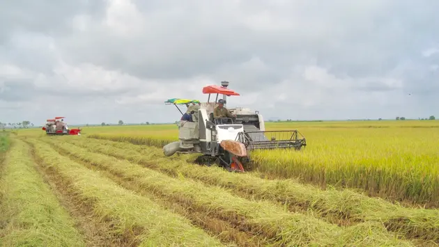 Hà Nội hoàn thành nhiệm vụ xây dựng nông thôn mới