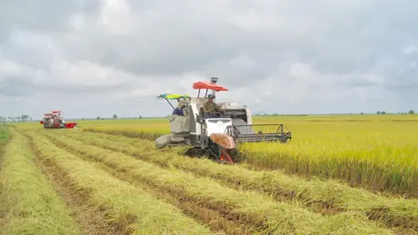 Hà Nội hoàn thành nhiệm vụ xây dựng nông thôn mới
