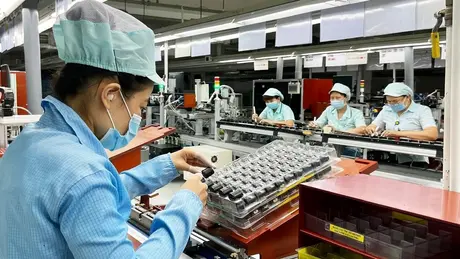 Nhiều đơn vị kinh doanh không còn ngại thành lập doanh nghiệp