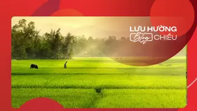 Hạ về trong đợt gió Tây Nam