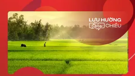 Hạ về trong đợt gió Tây Nam