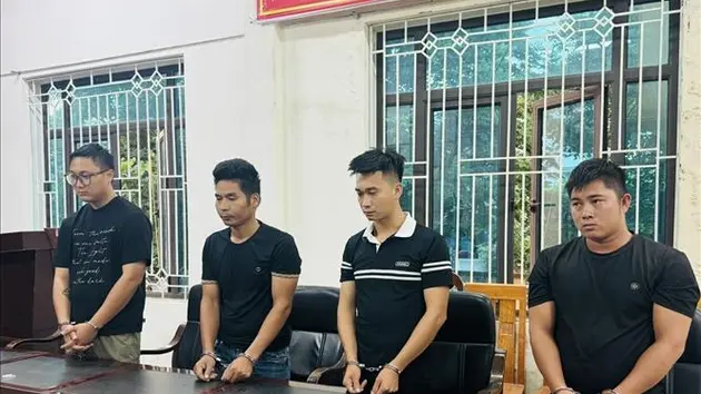 Khởi tố nhóm đối tượng buôn lậu cây qua biên giới
