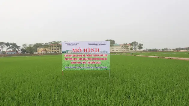 Đài Hà Nội