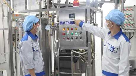 Áp dụng công nghệ trong chế biến sữa | 10/06/2025