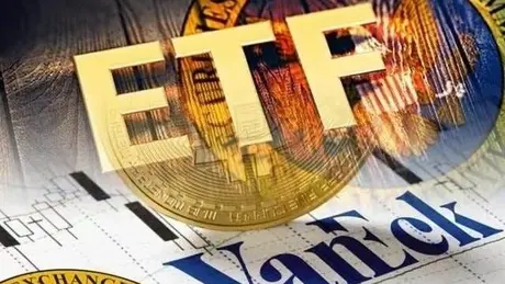 Quỹ ETF ngoại quy mô gần 11.000 tỷ muốn mua BAF