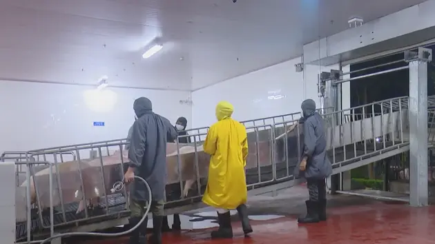 Siết chặt hoạt động giết mổ, đảm bảo an toàn thực phẩm