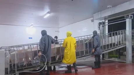 Siết chặt hoạt động giết mổ, đảm bảo an toàn thực phẩm