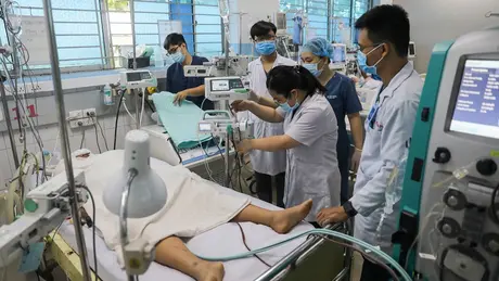 23.000 ca sốt xuất huyết, Bộ Y tế cảnh báo dịch