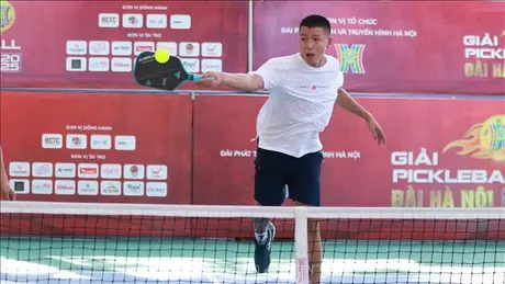 Công tác trọng tài chuyên nghiệp Giải Pickleball Đài Hà Nội 2025