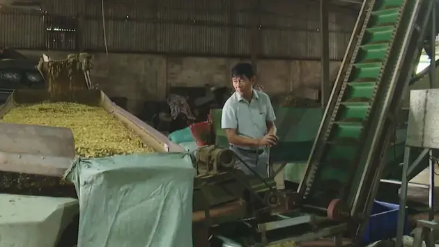 Hơn 16.000 người cao tuổi Hà Nội làm kinh tế giỏi