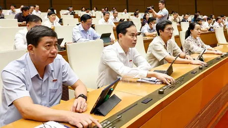 100% đại biểu tán thành thông qua nghị quyết sửa đổi Hiến pháp 2013