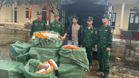 Phát hiện, thu giữ 1.170kg trứng gà non không rõ nguồn gốc