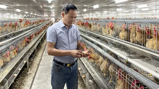 Ông Hoàng Mạnh Ngọc, một nông dân tiêu biểu của Thủ đô | Con đường doanh nhân | 15/06/2025