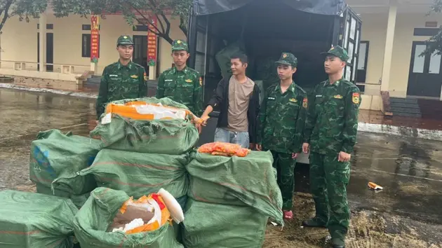 Phát hiện, thu giữ 1.170kg trứng gà non không rõ nguồn gốc