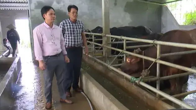 Đài Hà Nội