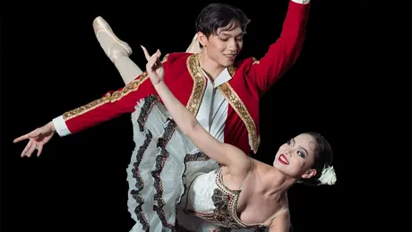 Vở ballet kinh điển ‘Don Quixote’ lần đầu công diễn tại Việt Nam