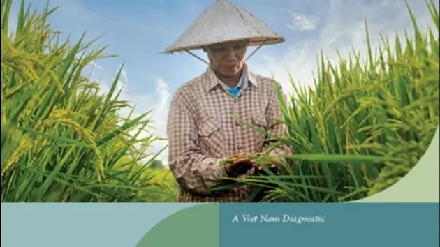 Thúc đẩy vai trò nữ giới trong chuyển đổi xanh