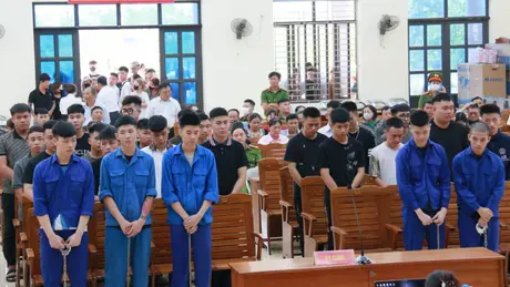 37 'quái xế' ở Hải Phòng hầu tòa