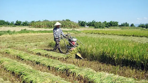 Điều chỉnh đối tượng được miễn thuế đất nông nghiệp