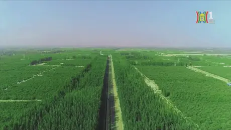 Trung Quốc phủ xanh hoang mạc tại vùng Tân Cương