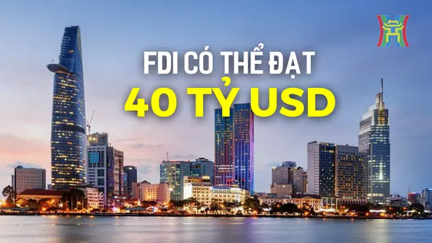 FDI vào Việt Nam có thể đạt 40 tỷ USD trong 2024

