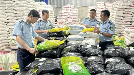 Phát hiện hơn 5 tấn gạo giả mạo 'Gạo Ông Cua' trên Shopee