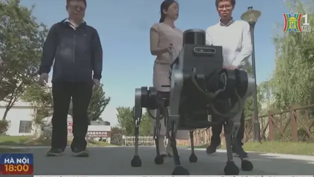 Trung Quốc phát triển chó robot trợ giúp người khiếm thị